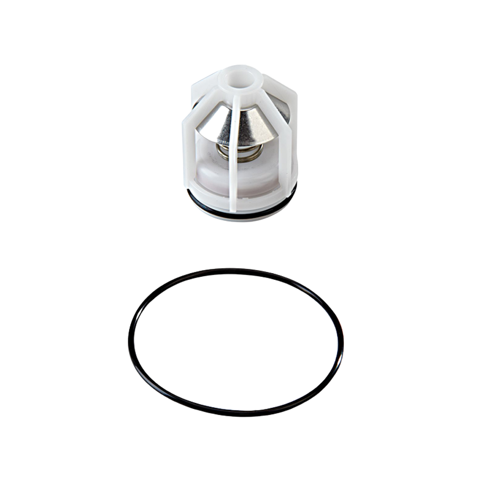 Watts RPZ 009 M2 Series Ck2 Module 25mm