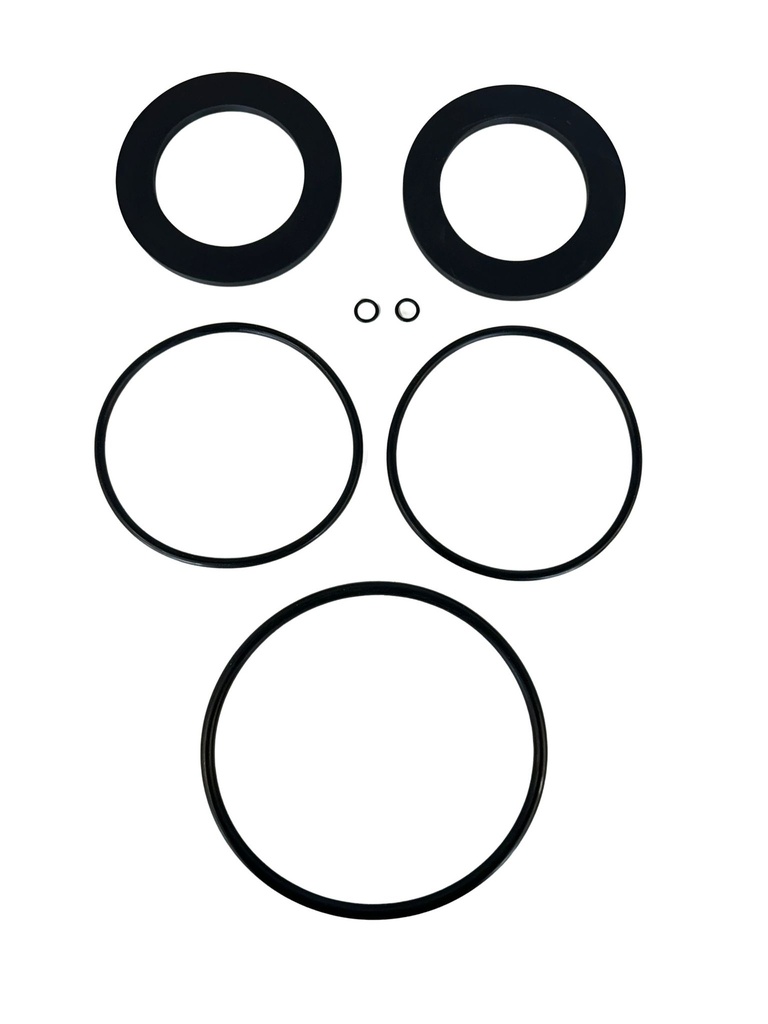 ValvCheq/TycoRP03/DC03 Check Valve Seal Kit