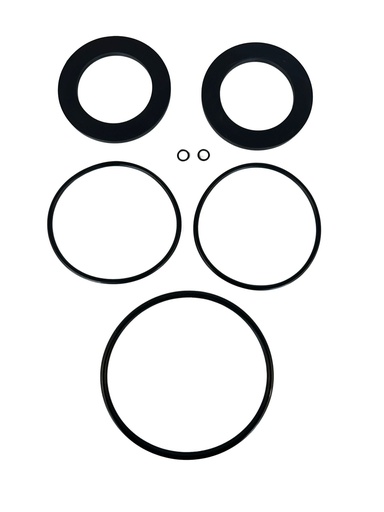 ValvCheq/TycoRP03/DC03 Check Valve Seal Kit