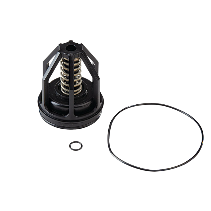 Watts RPZ 009 M3 Series Ck1 Module 20mm