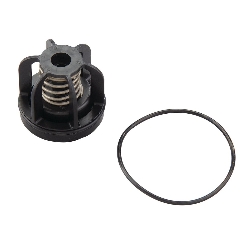 Watts RPZ 009 M3 Series Ck1 Module 20mm