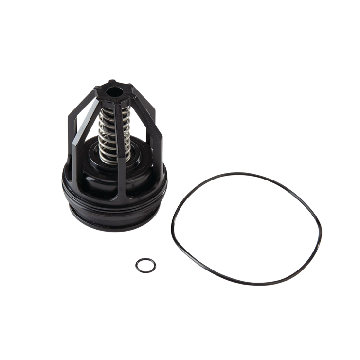 Watts RPZ 009 M3 Series Ck2 Module 20mm