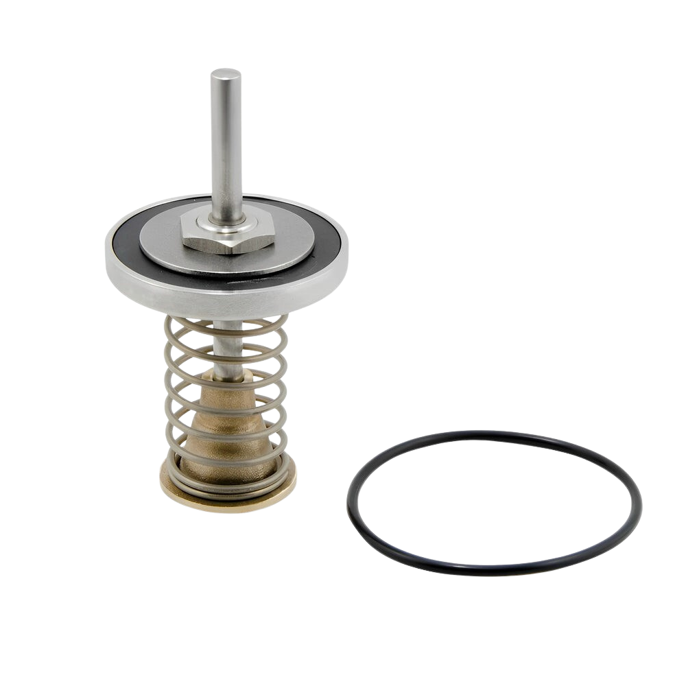Watts DCV 709 Series Check 1 or Check 2 Module 100mm