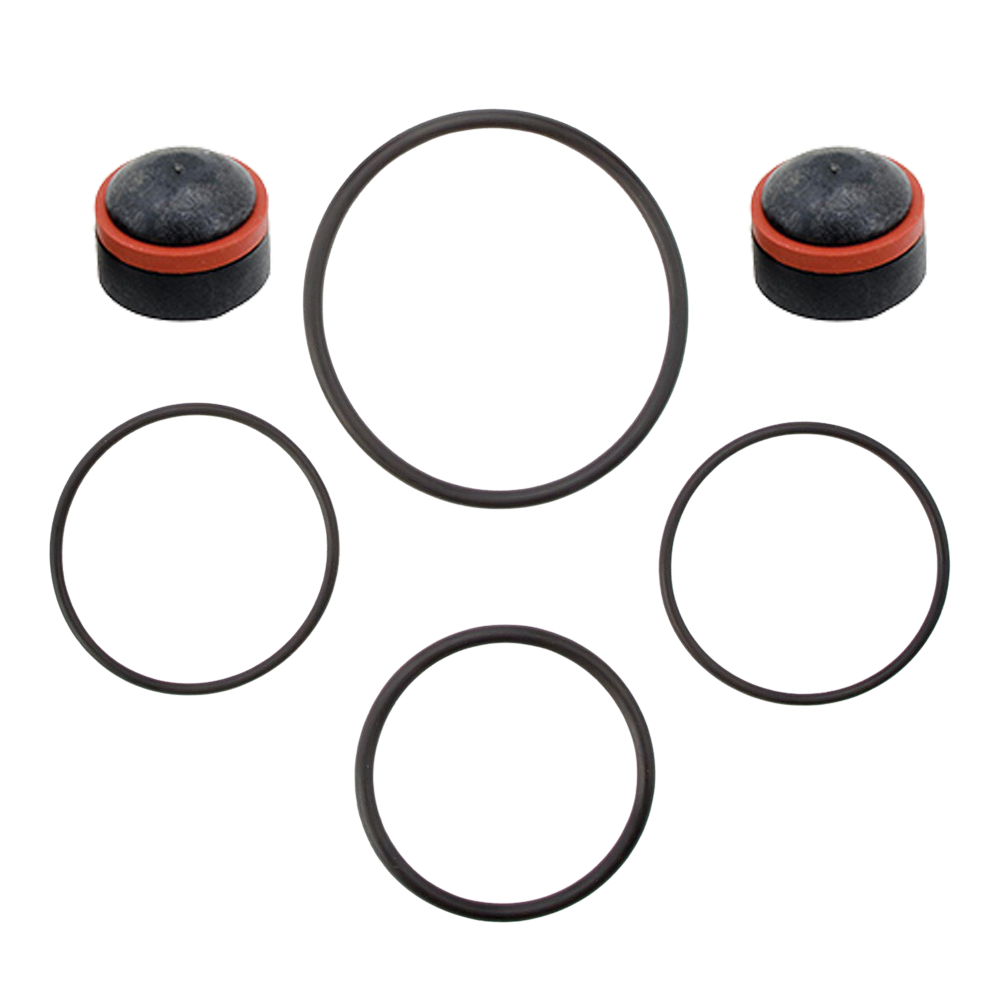 AMES DCV 2000BM2 Series Minor Rubber Kit 20mm