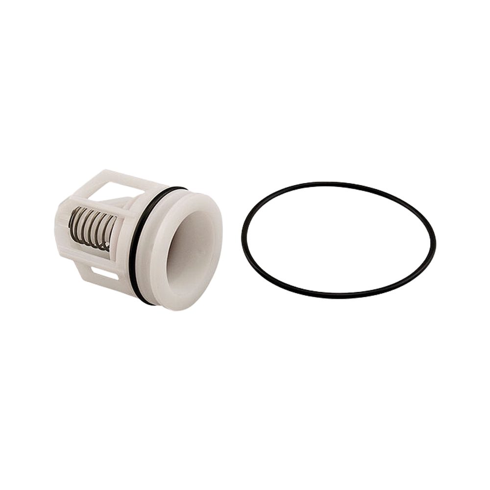 Watts DCV 007 Series Check 2 Module 20-25mm