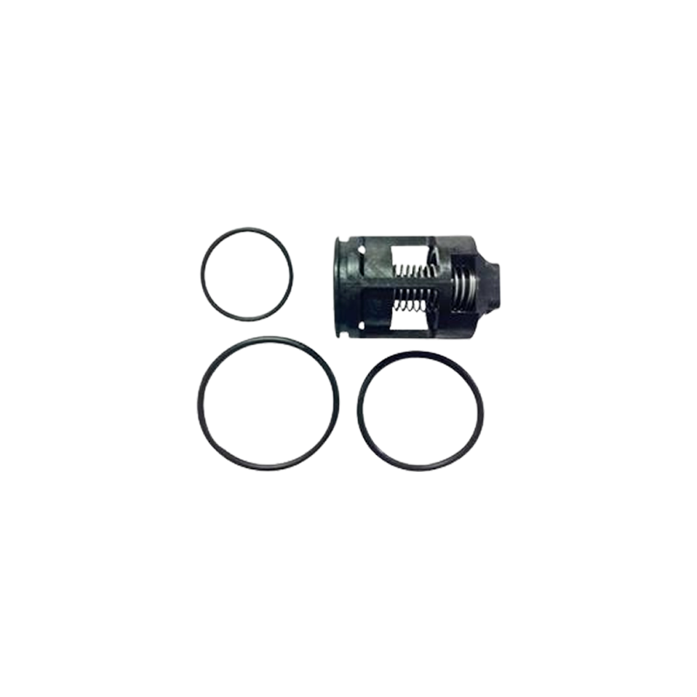 Apollo DCV (4A-100) /RPZ (4A-200) Series Ck 2 Complete Repair Kit 20mm