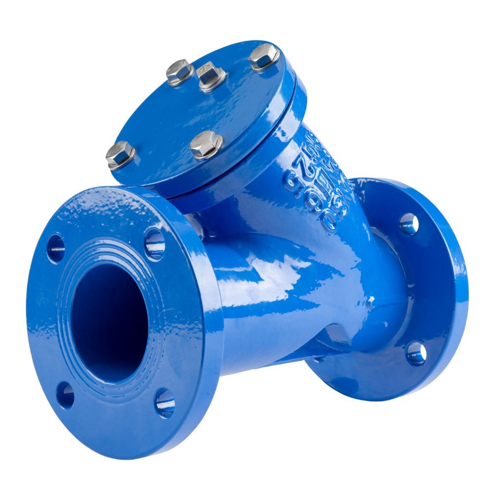 Flanged Y Strainer Ductile Iron - Blue Epoxy Coated