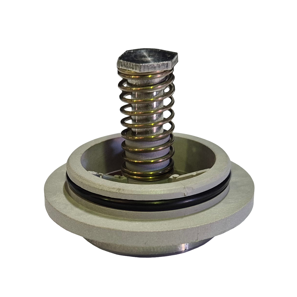 Flomatic DCV 1st Check Module 20-25mm