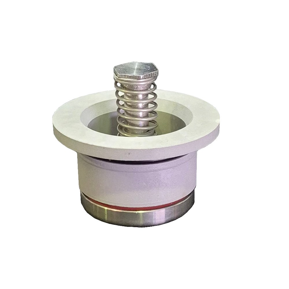 Flomatic DCV/RPZ 2nd Check Module 32mm