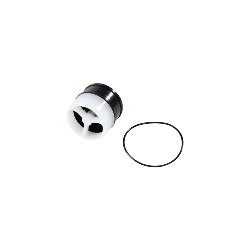 Watts RPZ 009 M2 Series Ck2 Module 20mm