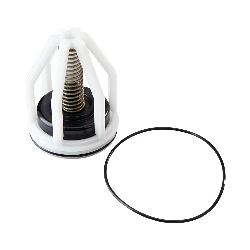 Watts DCV 007 Series Check 1 Module 40-50mm