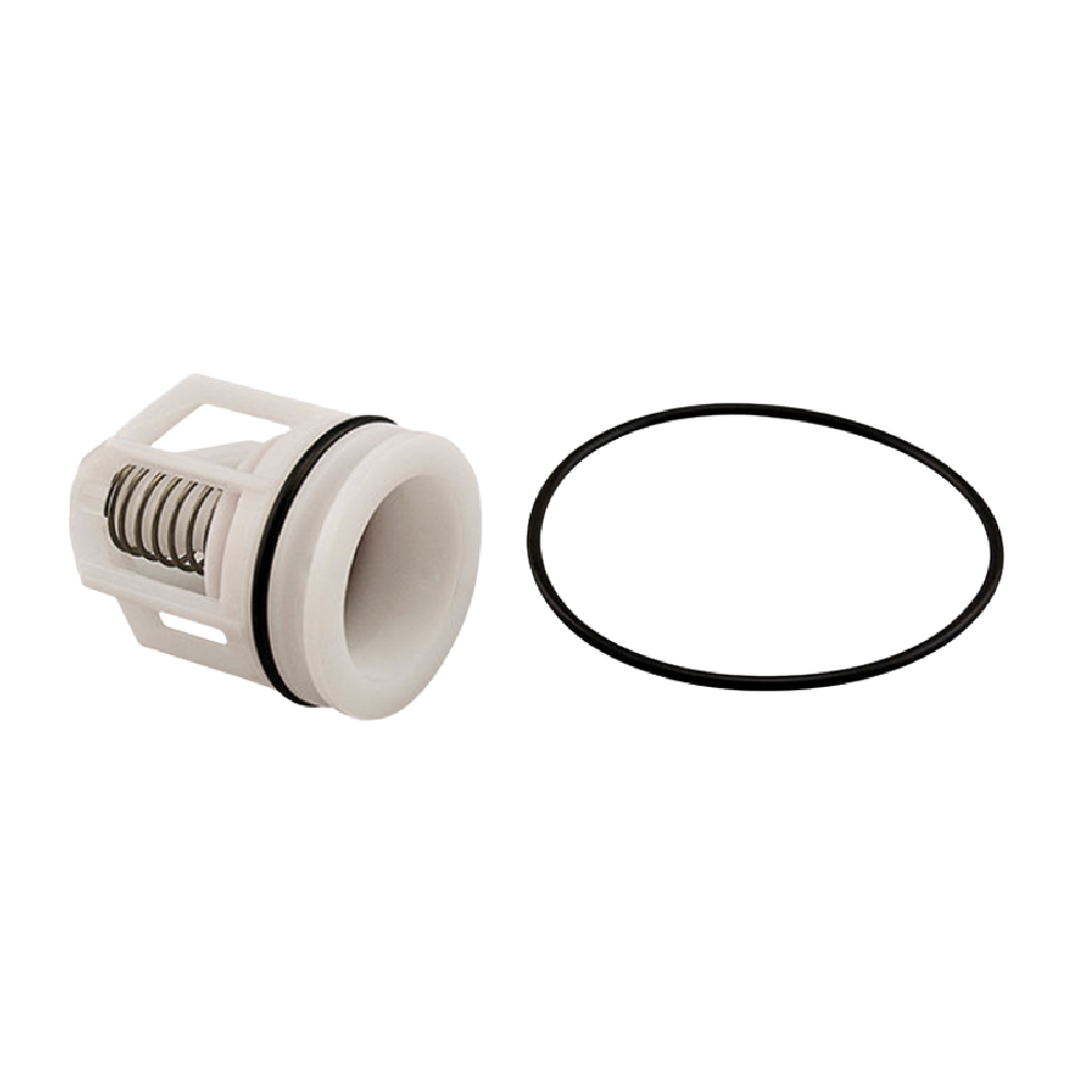 Watts DCV 007 Series Check 2 Module 40-50mm
