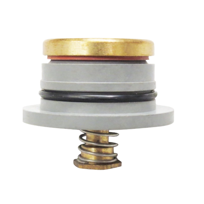 Flomatic DCV/RPZ 2nd Check Module 100mm