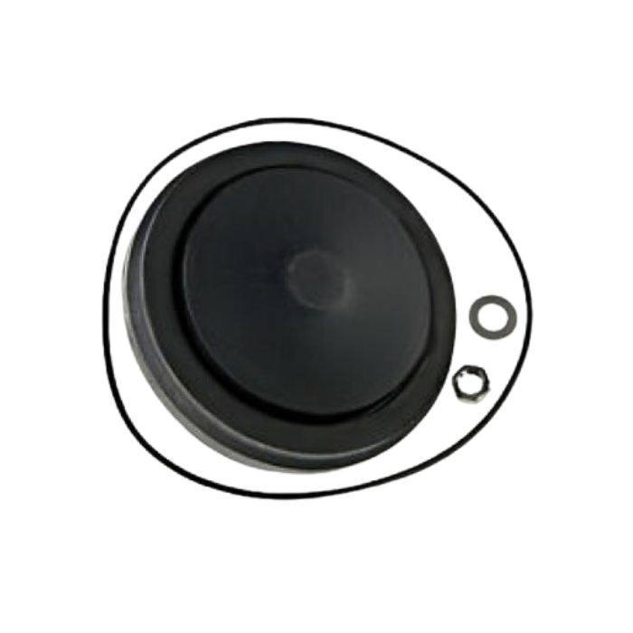 [FD850-100CD] Febco DCV 850 Series CK 1 or Ck 2 Check Disc With Seals 100mm