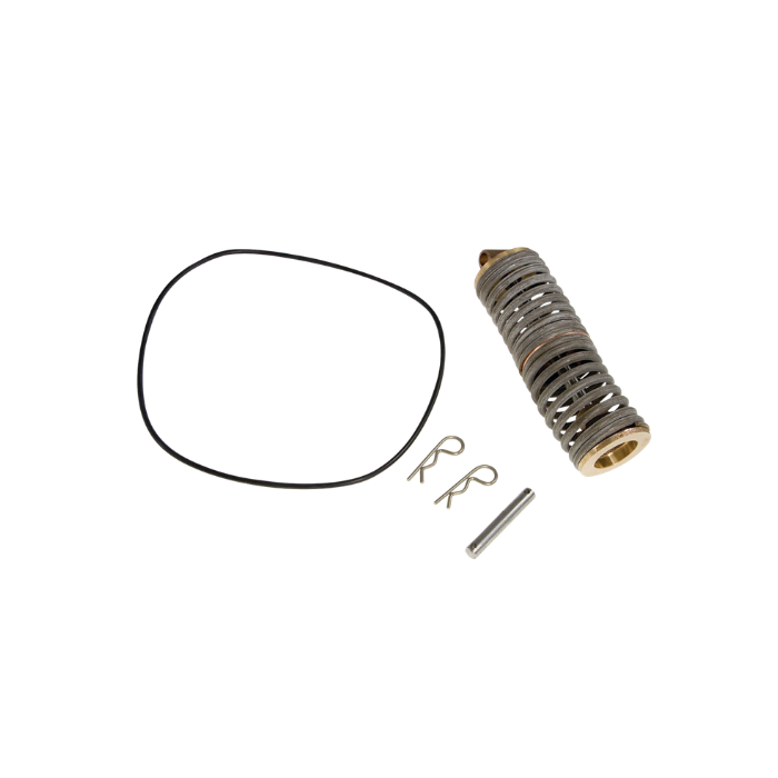 [FR860-150CK2] Febco RPZ 860 Series Ck 2 Spring Assembly 150mm