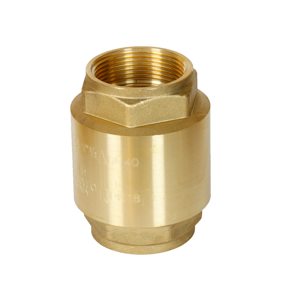 Brass Spring Check Valve