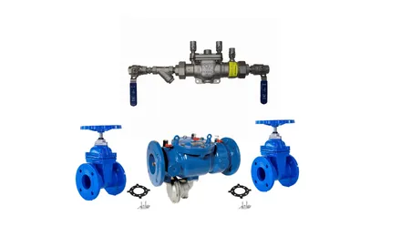 Backflow Protection / RPZ Valves / ValvCheq/Tyco / Full Assembly